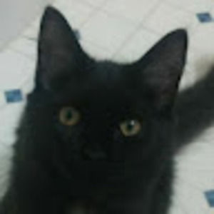 Meet your Posher, Finn